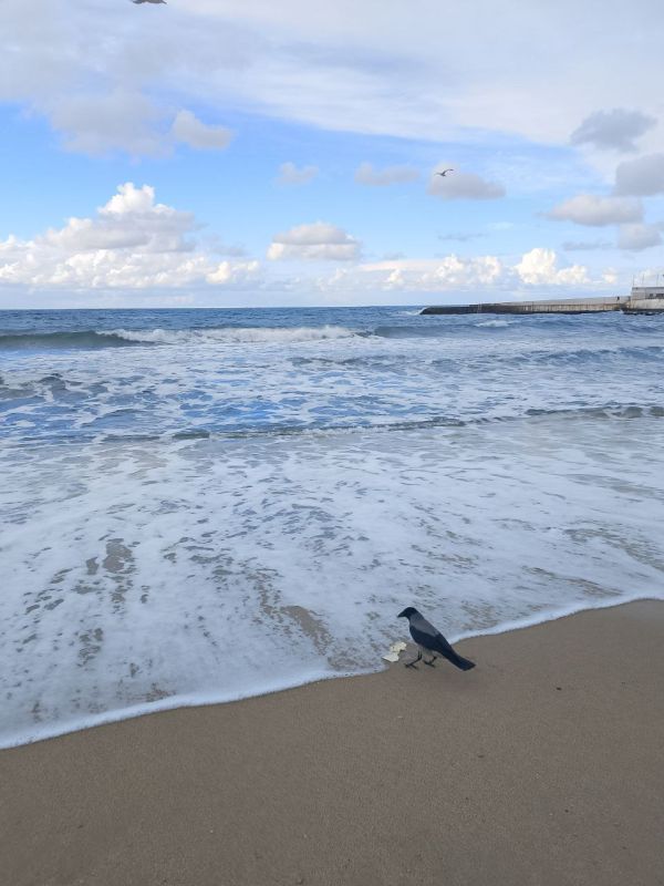 ���� ������� ����!. �� ������� � ����������� ���� ��� ������������ �������