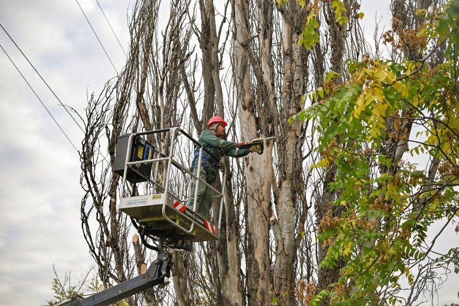 ����� � �����: ����������� ��������� � �������� � �����������