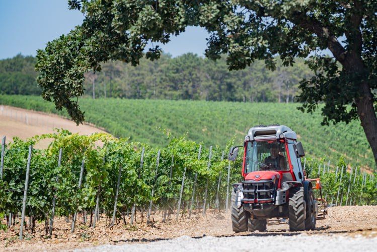 850 ��������� ������ �������� �������������������� ������������ ����������� � 2024 ����