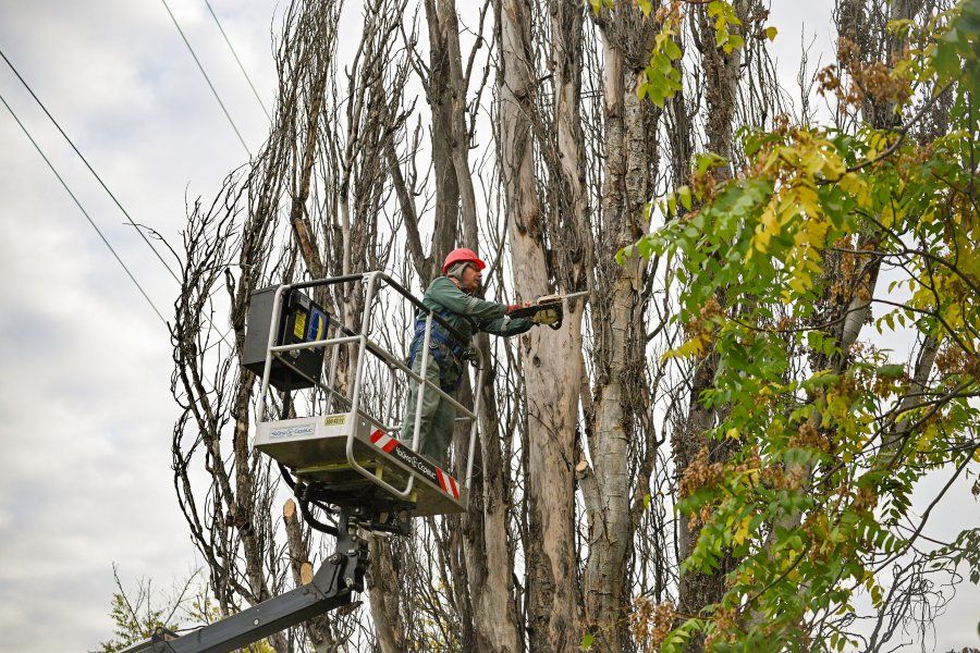 ������ � ������� �������� ��������� � �������� ������ � �����������