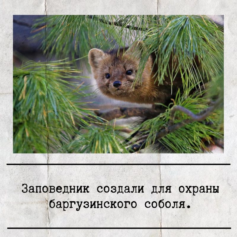 14 ������� � ������ ���������� ���� ���������� ����������� ����