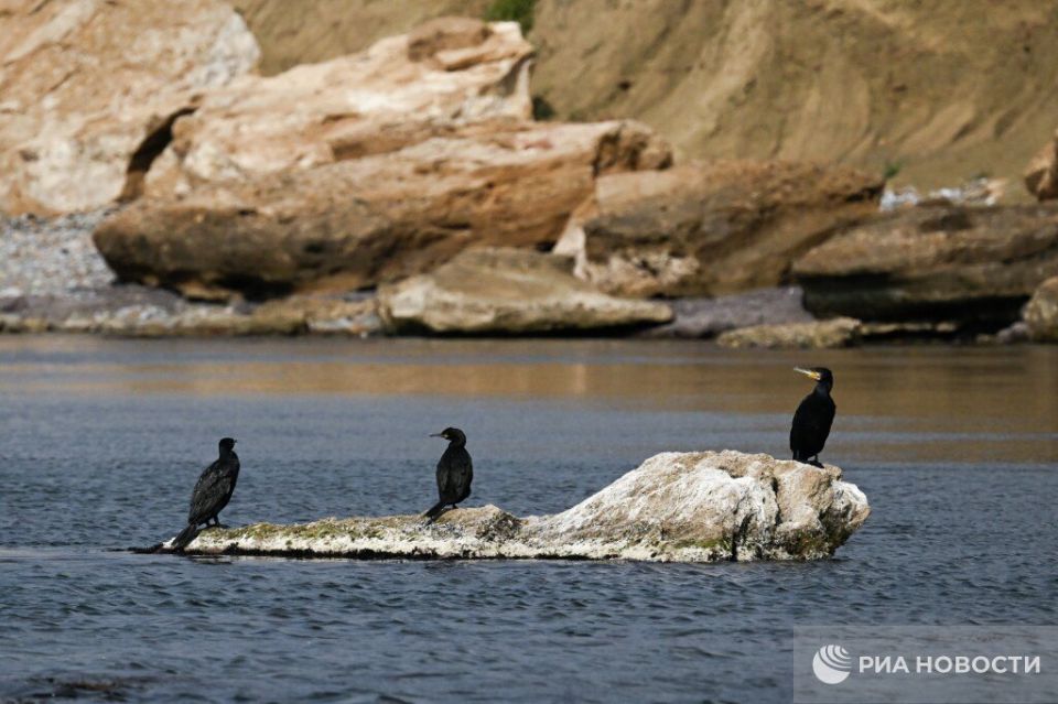 ������� ������ � ����� �� �������