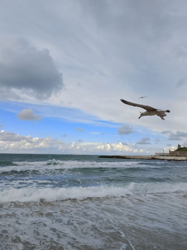 ���� ������� ����!. �� ������� � ����������� ���� ��� ������������ �������