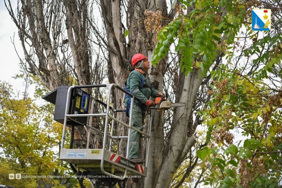 � ����������� ��������� � ������ ��������