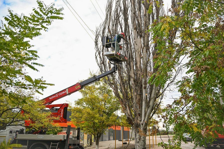 ����� � �����: ����������� ��������� � �������� � �����������