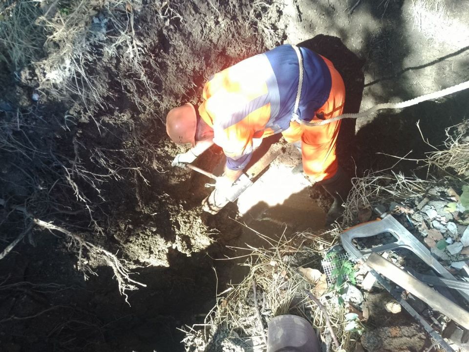 ���������: ������� �������. ��������-����������������� ������ �� ����� �������������