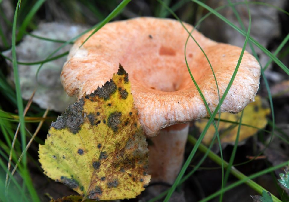 Прогноз погоды в Крыму на среду