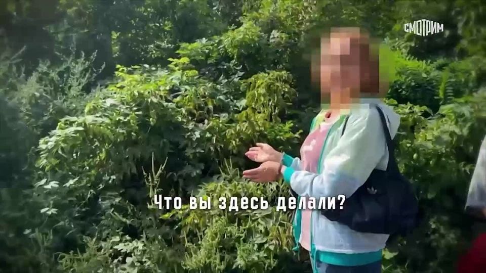 За сбор разведданных и перемещение взрывчатки для СБУ задержана жительница Донецка — ФСБ