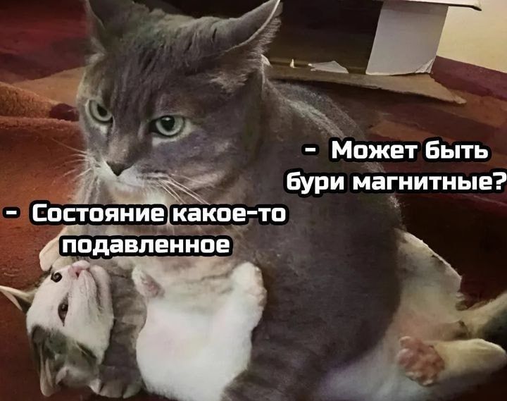 Магнитная буря накроет Землю в ночь на 17 октября