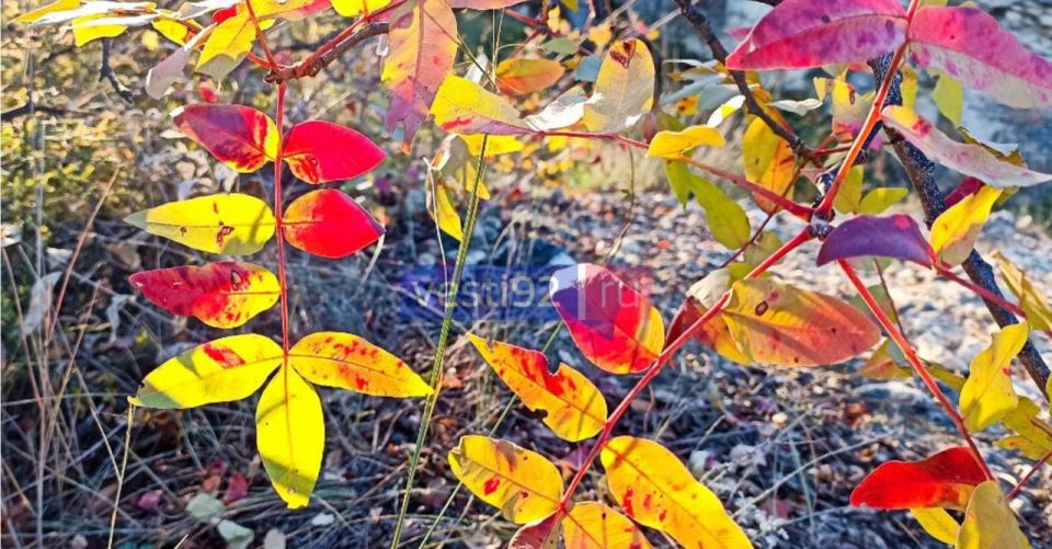Доброе утро, Севастополь!. Весь день будет облачно
