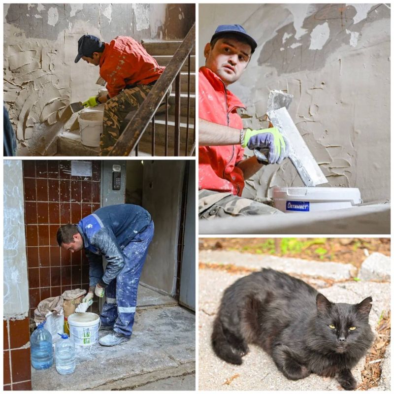 � ������ ���������� �����������, ��������������� �������������� �� ����������� ������������ ��������� ����������, ����������� �������� ���������� � ������� ������� �������� � ��������������� ���� 165� �� ��-�� ��������...