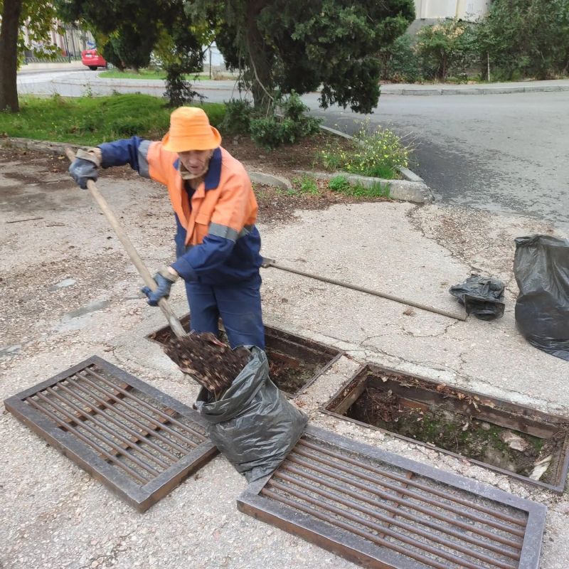 ���������: ������� �������. ��������-����������������� ������ �� ����� �������������