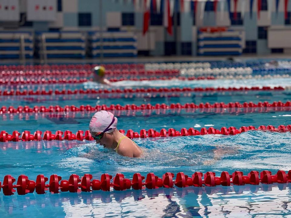 � ����������� ���������� ���������� ��������� ������������