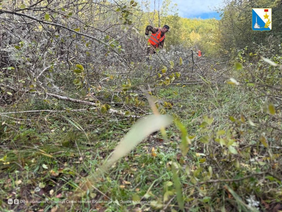 ���������� 27 ���������� ������