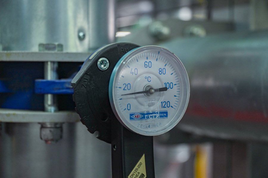 � ������������� ������ ������: ����������� ������-��������� ��������� ����� ������������ ������ 22 ��������������� ����, ����� � ������� ��� � �����������