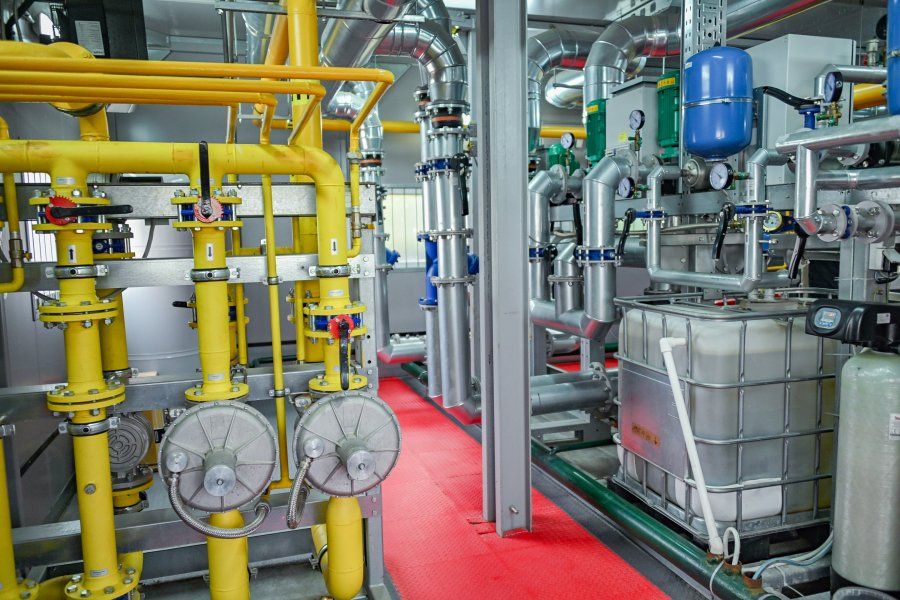 � ������������� ������ ������: ����������� ������-��������� ��������� ����� ������������ ������ 22 ��������������� ����, ����� � ������� ��� � �����������