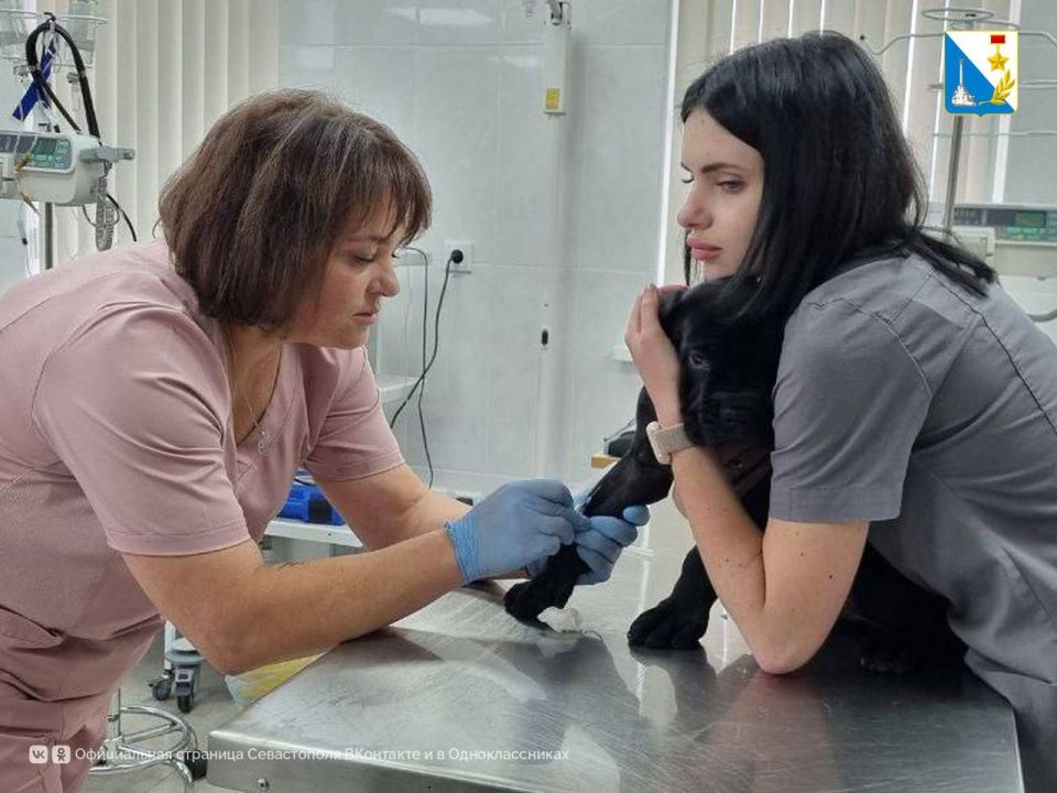 ������� ����� ������ ������������