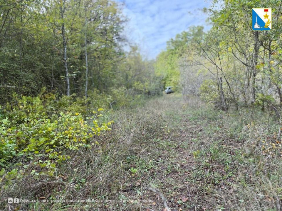 ����������� ��������� ����������� ������� � ������ � ������������� �����������