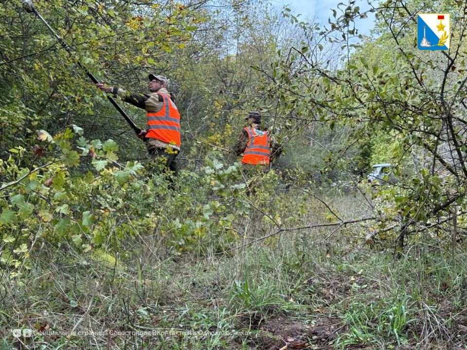 ���������� 27 ���������� ������