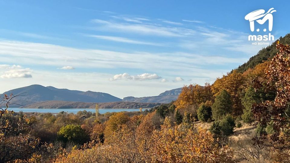 ��������, ��������� � ������ �����������