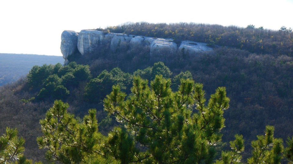 ����� �������: ������� ��������� ���: �������� ��������� �������� ������