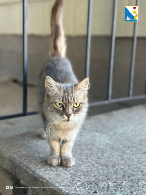 ���������� ����������. ������ ���������� ������ �������� ���������� ���������� �������� �������� �� ��������� � ������������ ������: - � 10:00 �� 14:00: