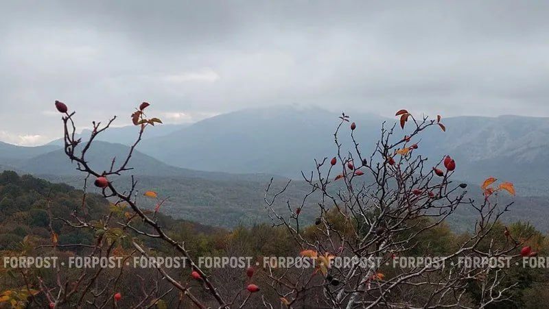 ���� �� ������������ ��������� ������ ��������� ��� �� �������� ����� �������� �� ���������� ����� �� �������������� ����