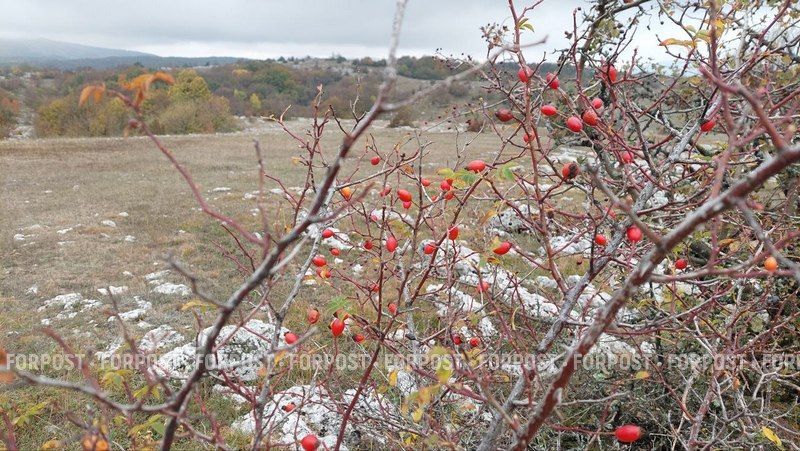 ���� �� ������������ ��������� ������ ��������� ��� �� �������� ����� �������� �� ���������� ����� �� �������������� ����