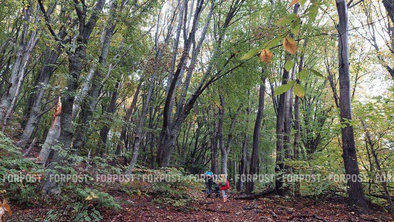 ���� �� ������������ ��������� ������ ��������� ��� �� �������� ����� �������� �� ���������� ����� �� �������������� ����