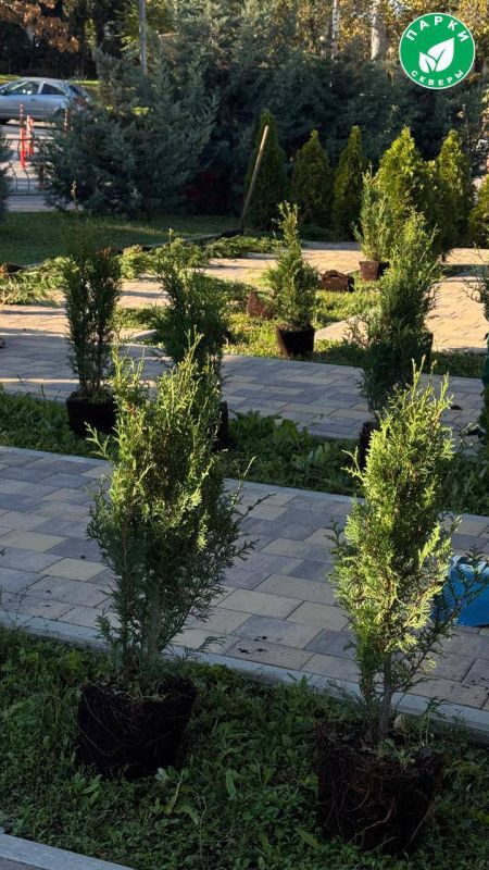 �� ������� ���������� �������� 70 ���