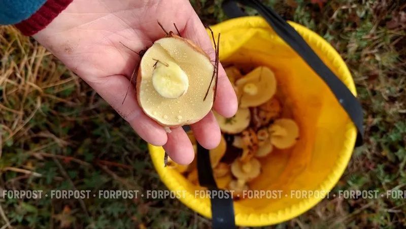 ����� �� � ������������ ����������� ����� ����� ����������� ����?