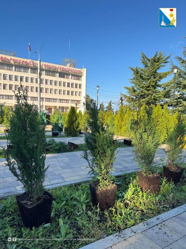 Озеленяем город. Эти кадры показывают с какой любовью специалисты «Парков и скверов» любовью благоустраивают город