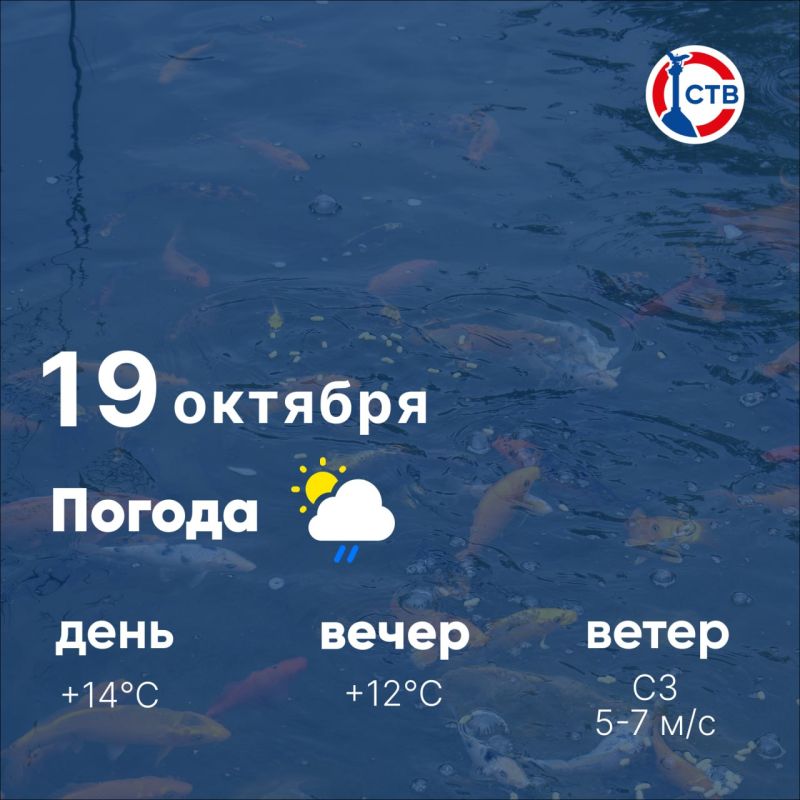 Доброе утро, севастопольцы! Сегодня, 19 октября, в городе переменная облачность