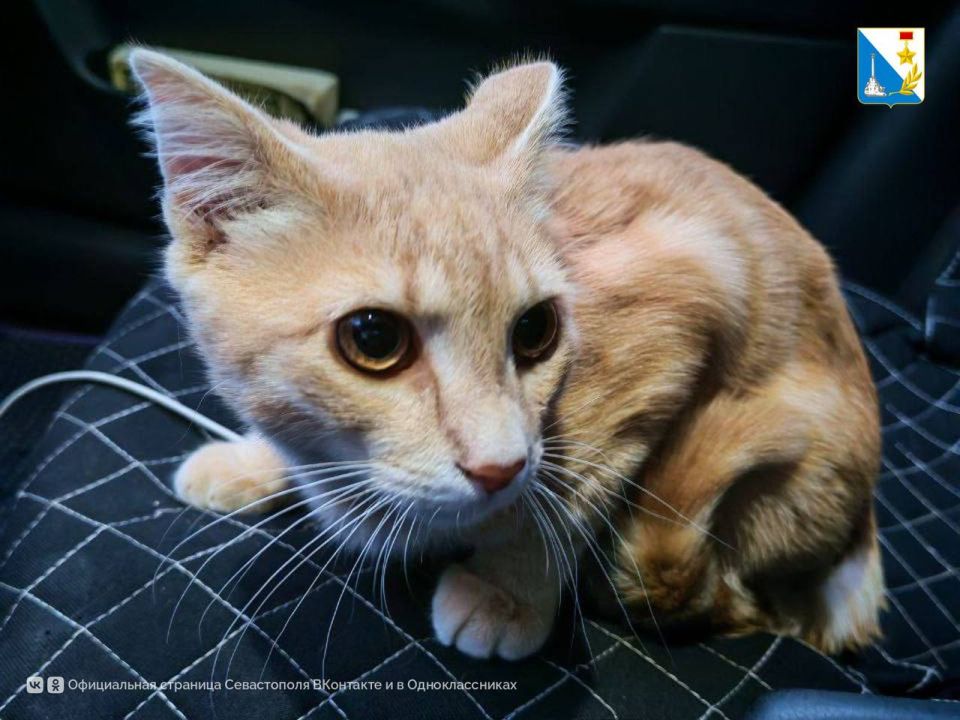 ���������� ����������. 18 ������� ������������ ������� �������� ���������� ���������� ����� � ����� ������ ��������� � ������������ ������ (�. ������� � �. ���������)