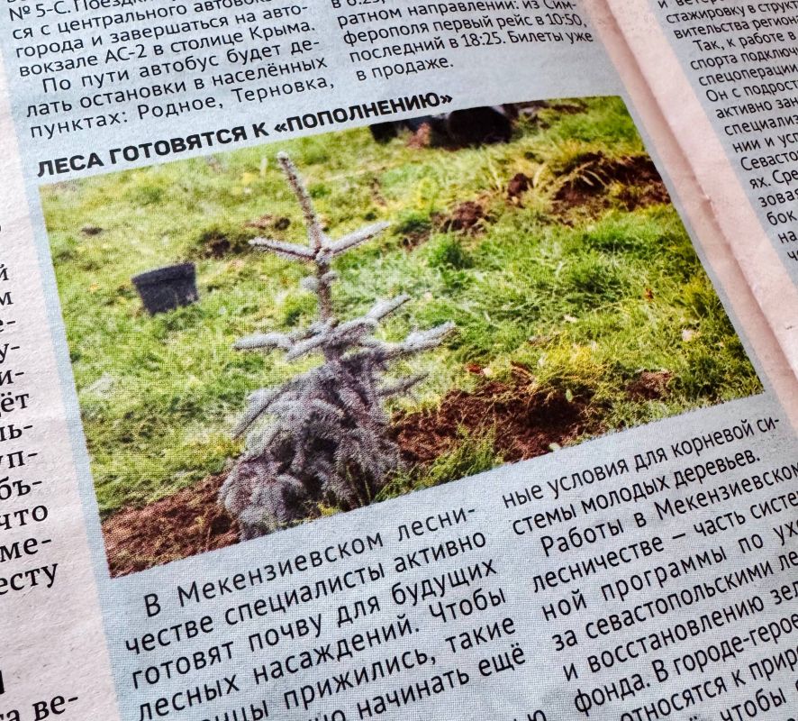 Леса готовятся к «Пополнению»