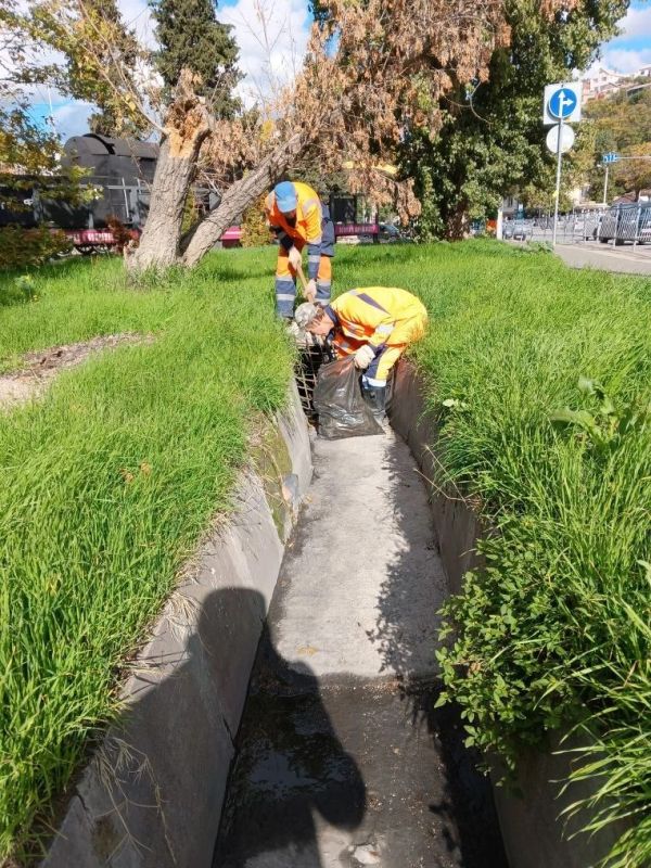 ���������: ������� �������. ������� ������ �������� ����������� ������� �������� ������� � ����� �� ������ ���� ������� ���������� �������