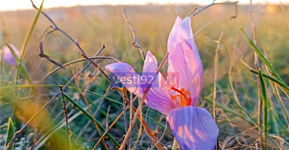 Доброе утро, Севастополь!. Сегодня весь день будет облачно