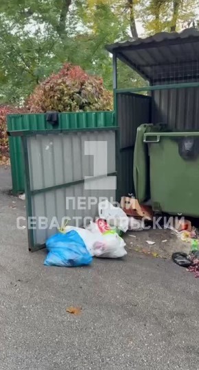 Качество уборки мусора на контейнерных площадках в центре Севастополя показали местные жители