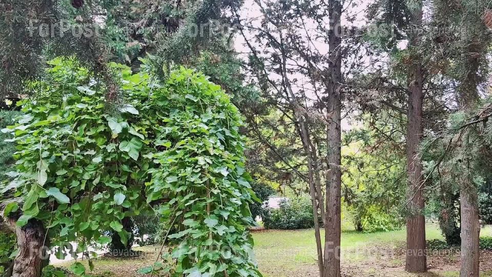 ������������ ��������� ��-������ ��� � �����, ��������� �� ���������� ����� ���