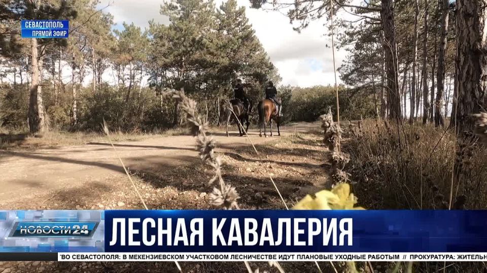 ������ � ���� � ���������� ������� ����������! ��� �������� �������������� ���������� ������������ �������������� ������?