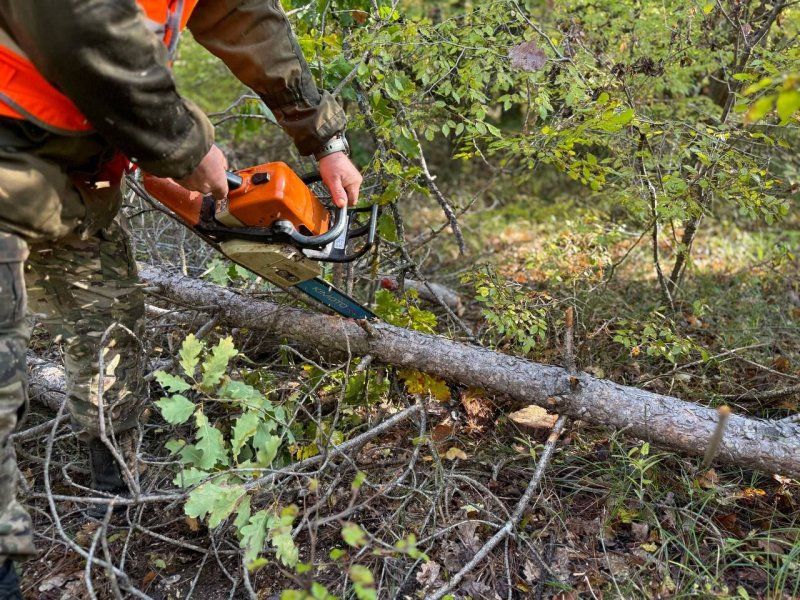 � ������������� ����������� ������� ������� � ����