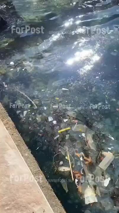 �� ��������� ������� �������