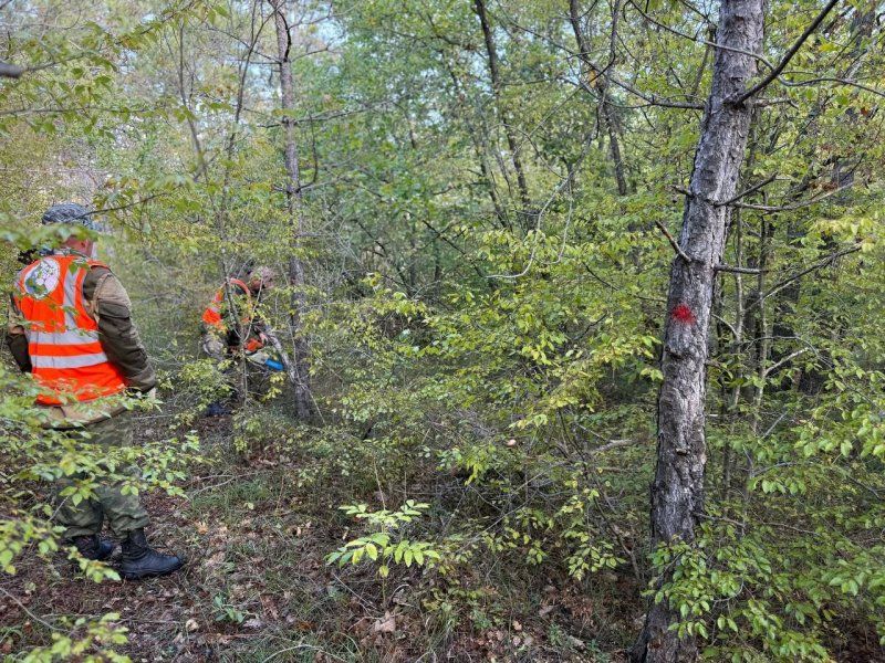 � ������������� ����������� ������� ������� � ����