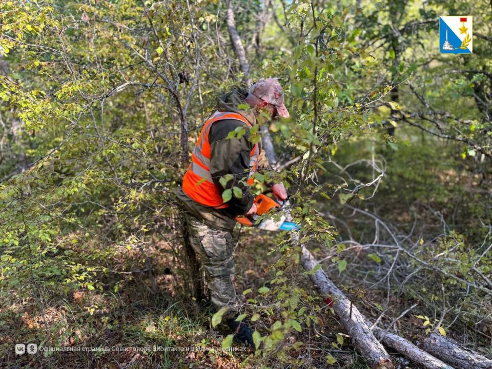 ��������� �� �����. ����������� � ������������� ���������� ����������� ����������� ������� �� ������� 13,5 �������� � ������� �����������, ������������ � ����������� ��������