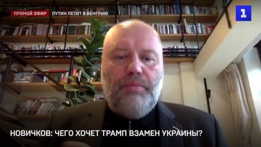 Новичков: для Трампа развитие Арктики гораздо важнее Украины