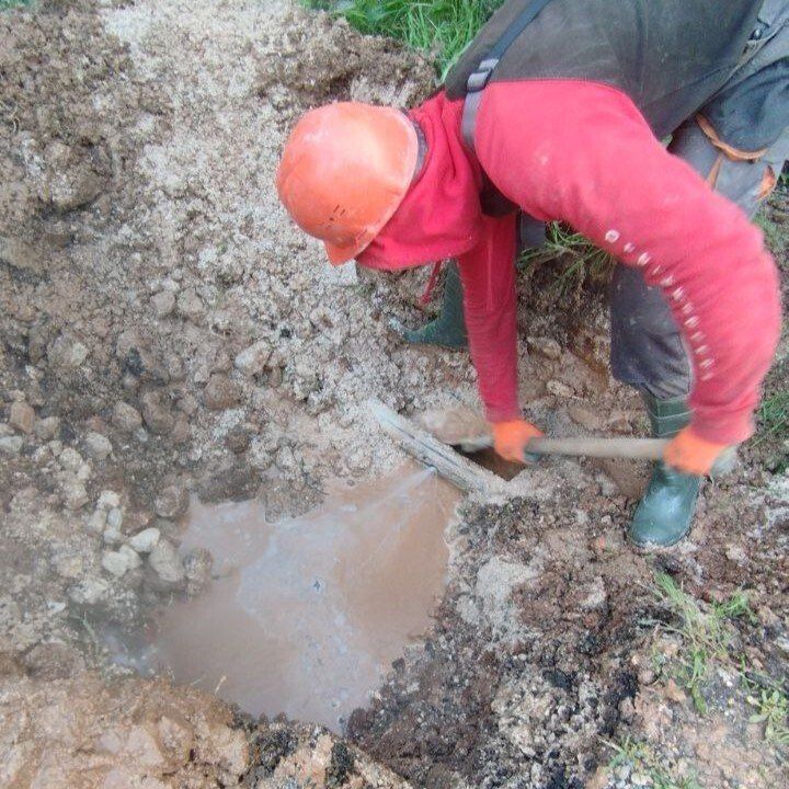 ���������: ������� �������. ��������-����������������� ������ �� ����� ������������� �� ��.����������, ��.��������, ��.�.���������� � ��. ���� ���������� ���������, ������ �������, ����� ��������