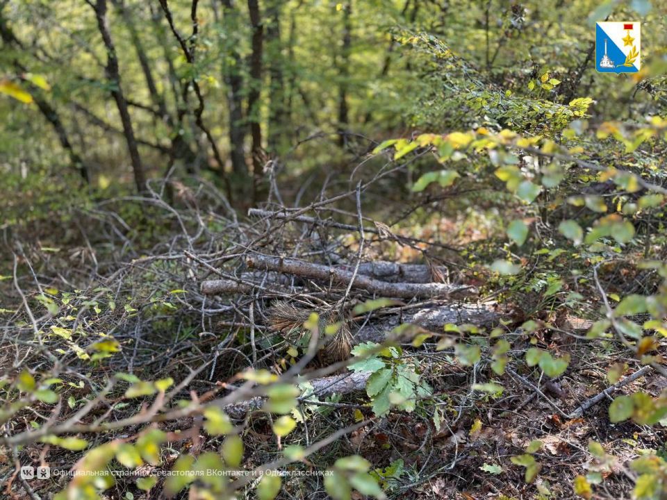 ��������� �� �����. ����������� � ������������� ���������� ����������� ����������� ������� �� ������� 13,5 �������� � ������� �����������, ������������ � ����������� ��������