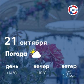 Доброе утро, севастопольцы! Сегодня в городе облачно с прояснениями, без осадков