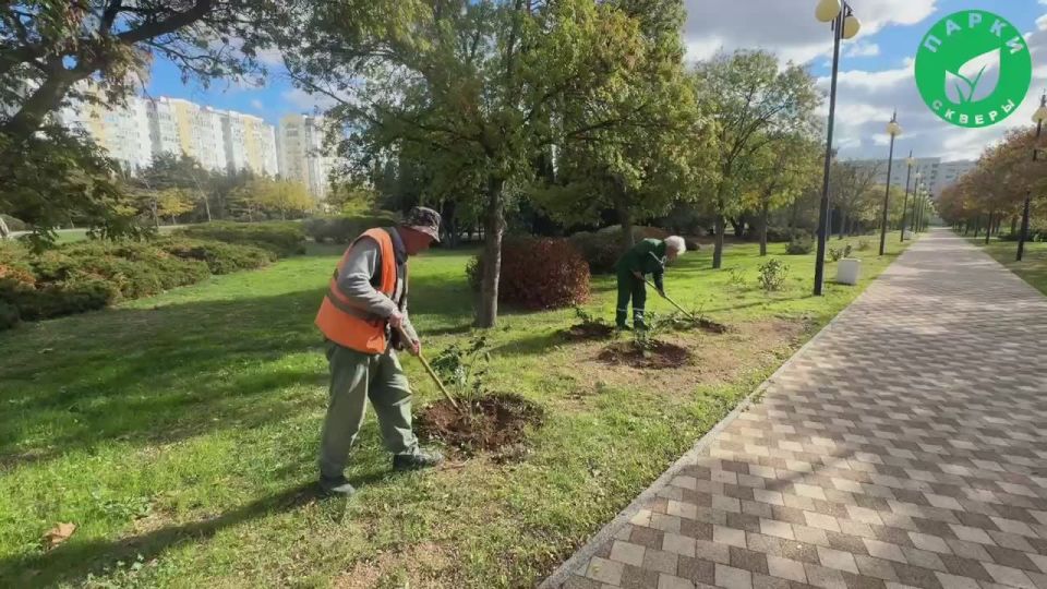 ���� ������ ������� � ������� ������� ��������