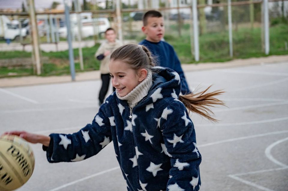 � ��������������� ������ ������������ ���������� ����������